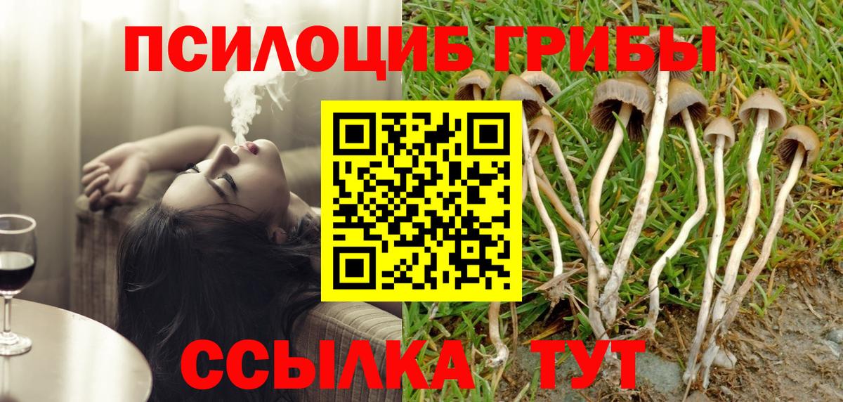 Галлюциногенные грибы Psilocybine cubensis  Вход с VPN  Пыть-Ях 