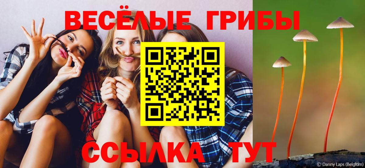 Галлюциногенные грибы Psilocybine cubensis Пыть-Ях